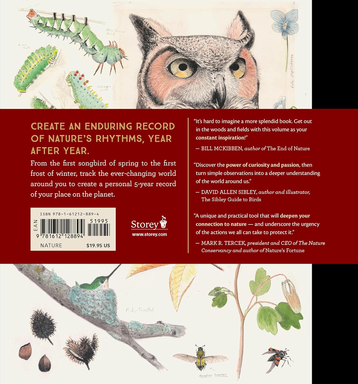 Book - Naturalist's Notebook: An Observation Guide and 5-Year Calendar-Journal for Tracking Changes in the Natural World around You by Nathaniel T. Wheelwright and Bernd Heinrich (Hardback)