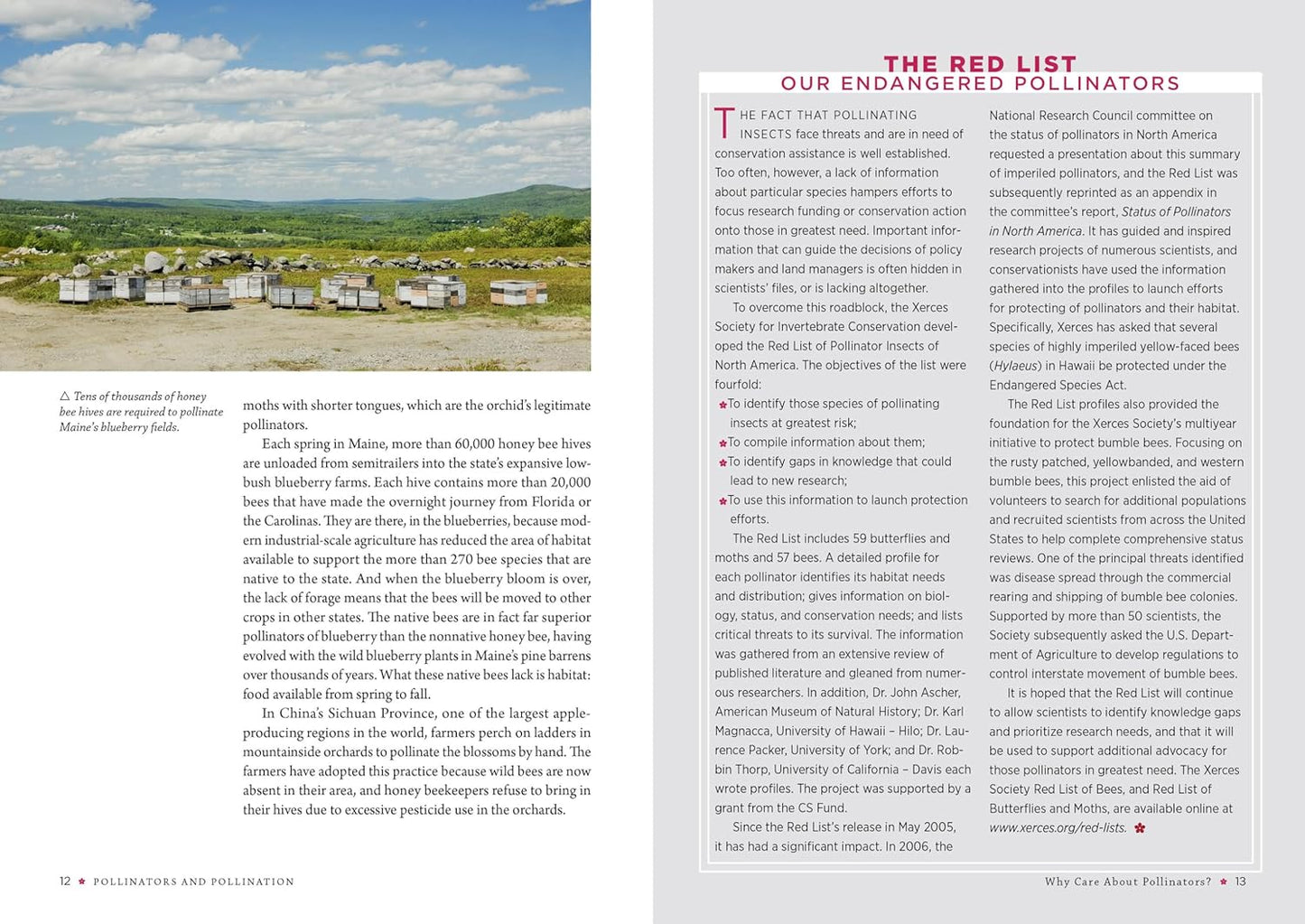 Book - Attracting Native Pollinators: Protecting North America's Bees and Butterflies by The Xerces Society (Paperback)