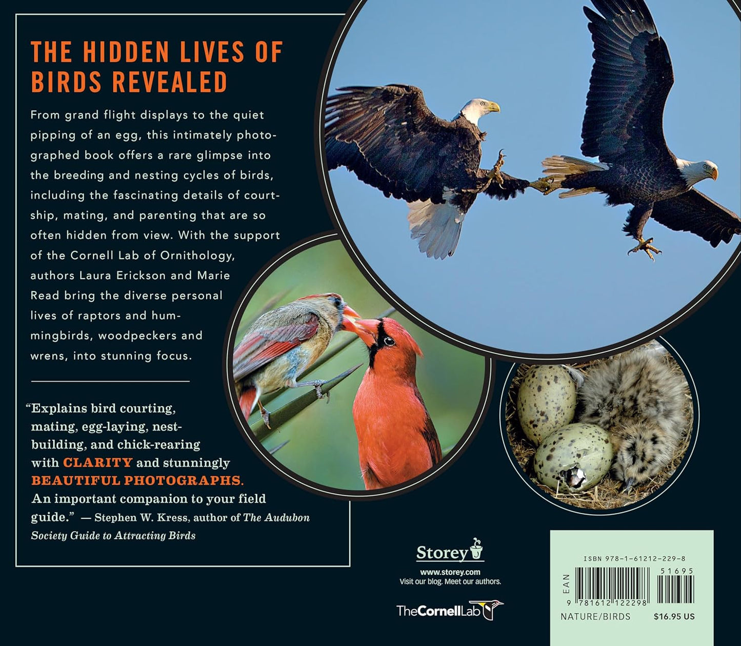 Book - Into the Nest: Intimate Views of the Courting, Parenting, and Family Lives of Familiar Birds by Laura Erickson & Marie Read (Paperback)