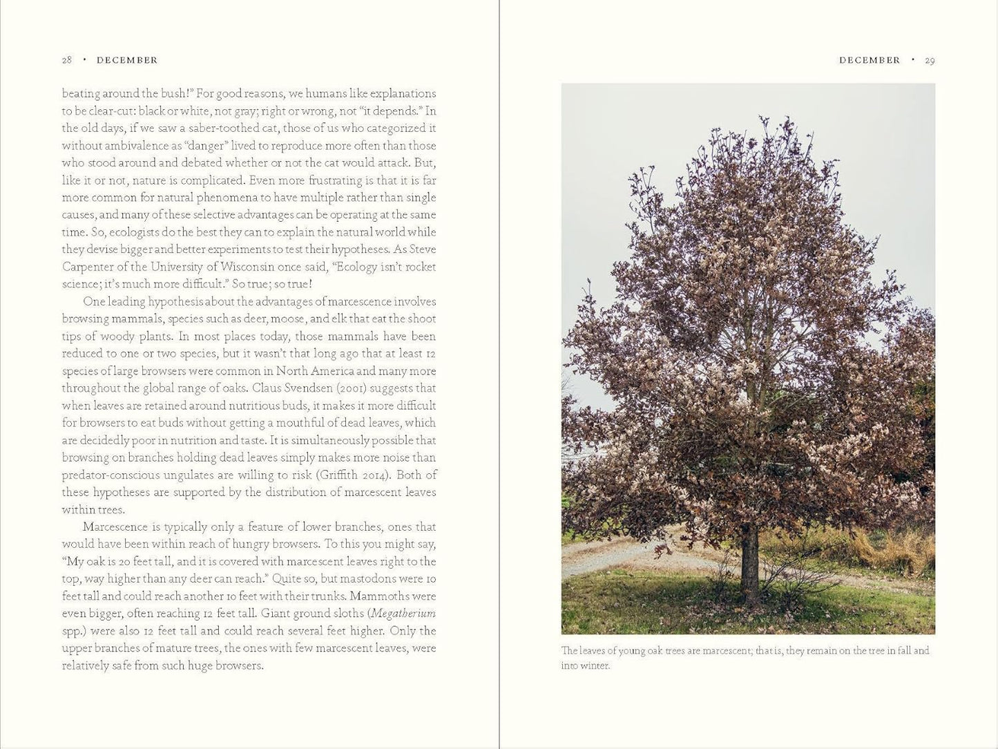 Book - The Nature of Oaks: The Rich Ecology of Our Most Essential Native Trees by Douglas Tallamy (Hardback)