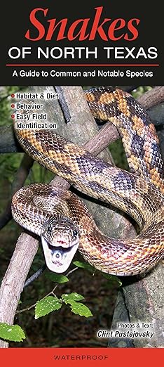 Folding Guide - Snakes of North Texas: A Guide to Common & Notable Species