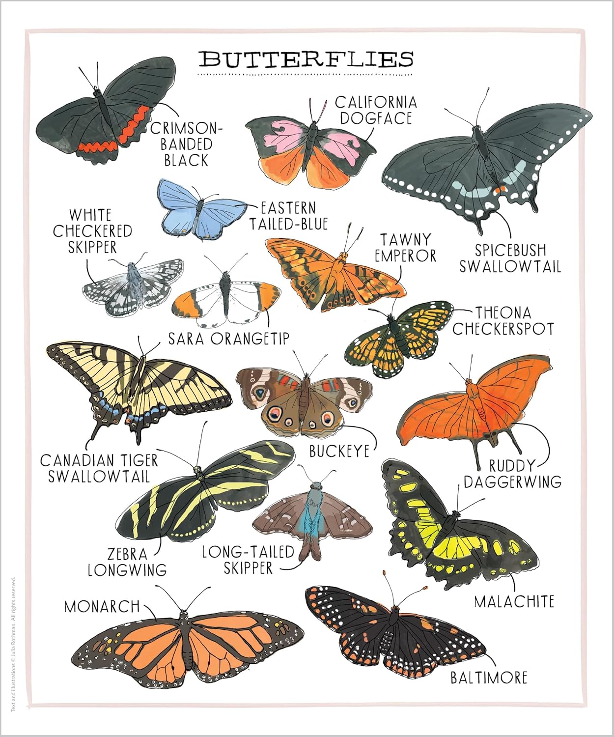 Book - Nature Anatomy Posters: 28 Pull-Out Prints That Celebrate the Wonders of the Natural World by Julia Rothman (Paperback)