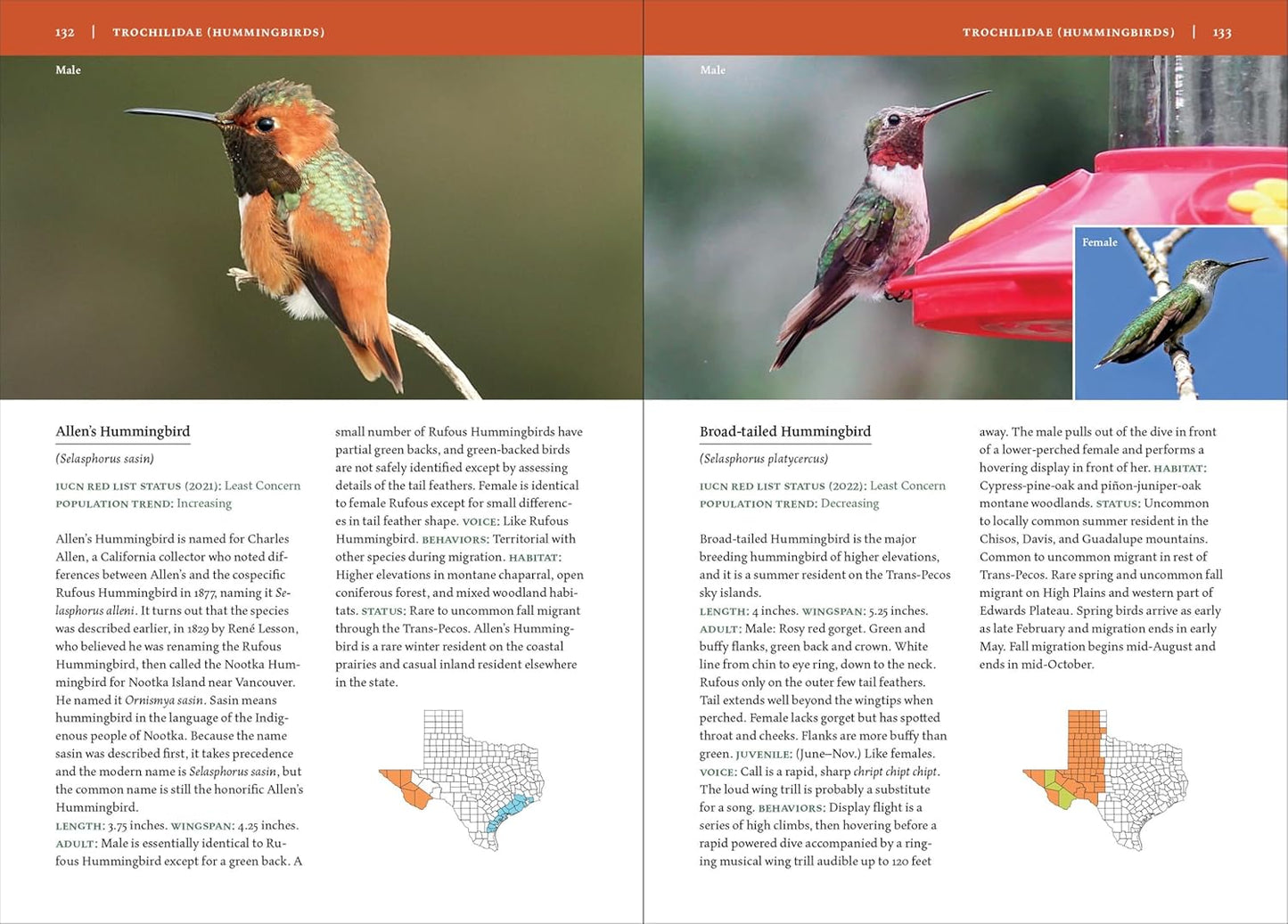 Book - Birds of Texas: A Timber Press Field Guide by David Sarkozi (Flexibound)