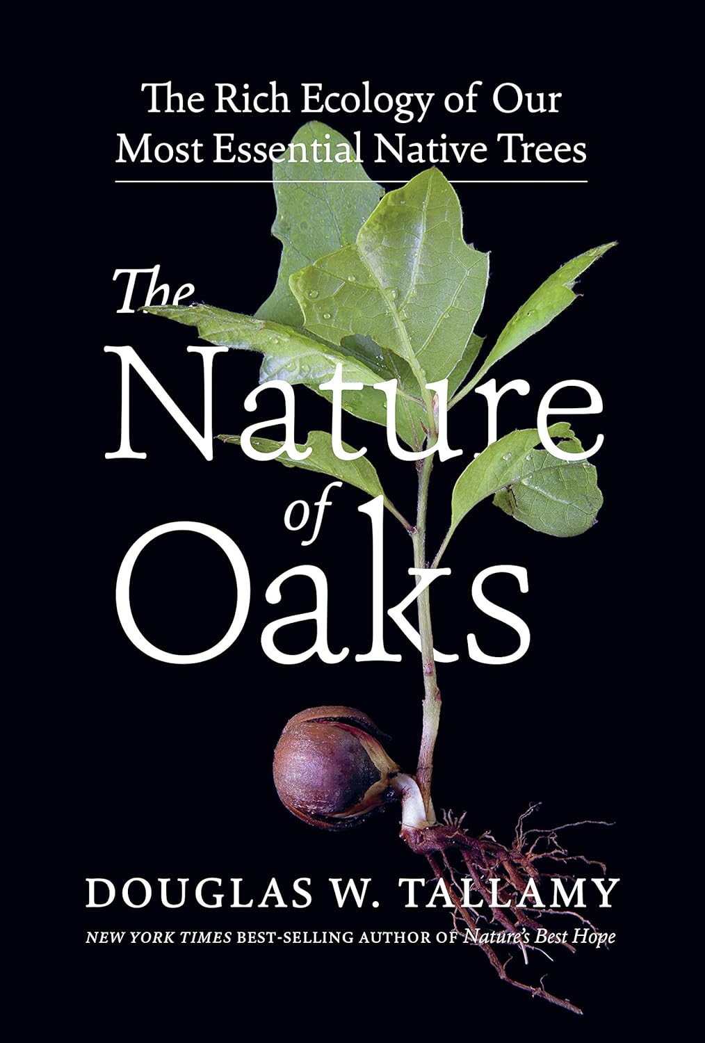 Book - The Nature of Oaks: The Rich Ecology of Our Most Essential Native Trees by Douglas Tallamy (Hardback)