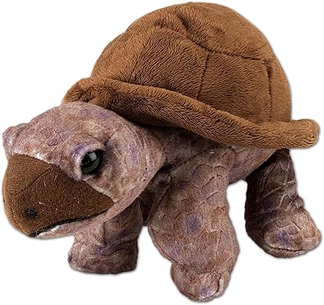 Plush Animal - Mini Tortoise - Cuddlekins Mini (8")