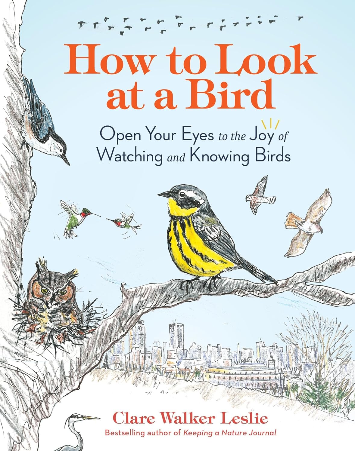 Book - How to Look at a Bird: Open Your Eyes to the Joy of Watching and Knowing Birds by Clare Walker Leslie (Paperback)