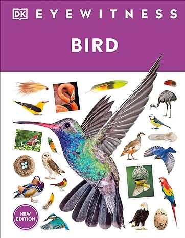 Book - Eyewitness Bird by DK Children (Hardback)