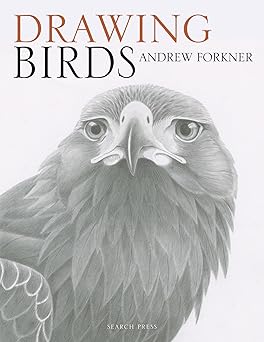 Book - Drawing Birds by Andrew Forkner (Paperback)