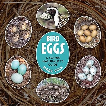 Book - Bird Eggs: A Young Naturalist's Guide by Mark Peck (Paperback)