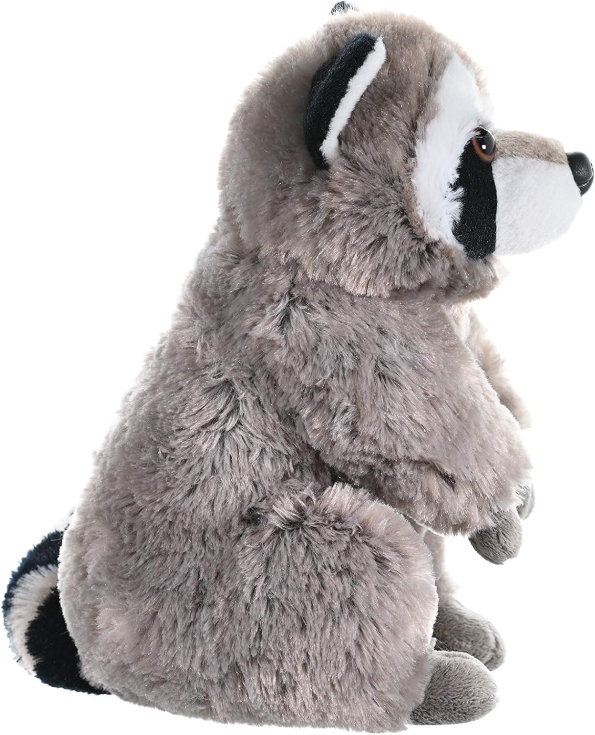 Plush Animal - Raccoon - Cuddlekins 12"