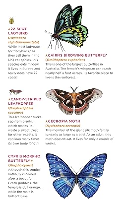 Temporary Tattoos - Fluttery, Friendly Tattoo Butterflies and Other Insects: 81 Temporary Tattoos That Teach (Paperback/Sticker Book)