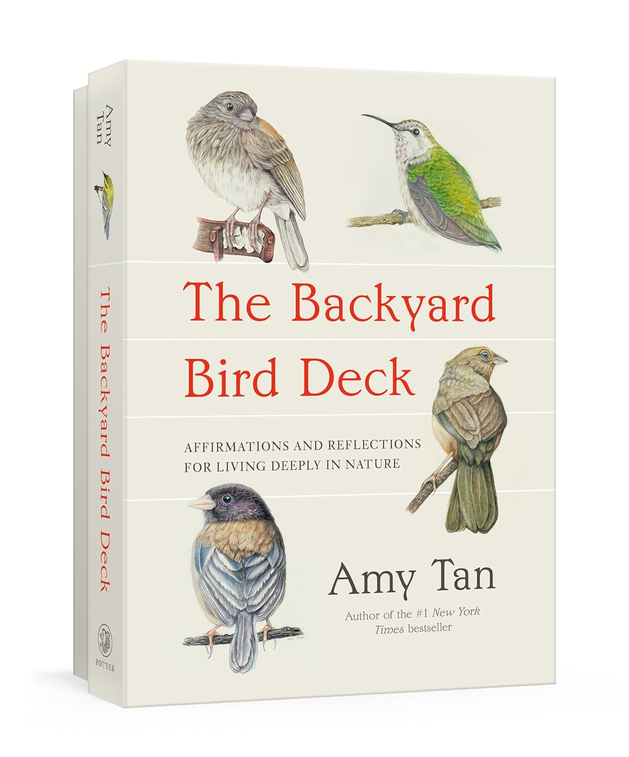 The Backyard Bird Deck: Affirmations and Reflections for Living Deeply in Nature: Affirmation Cards by Amy Tan