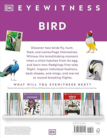 Book - Eyewitness Bird by DK Children (Hardback)