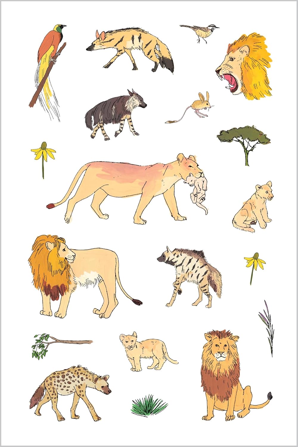 Book - Wildlife Anatomy Sticker Book: A Julia Rothman Creation: More than 500 Stickers (Paperback/Sticker Book)