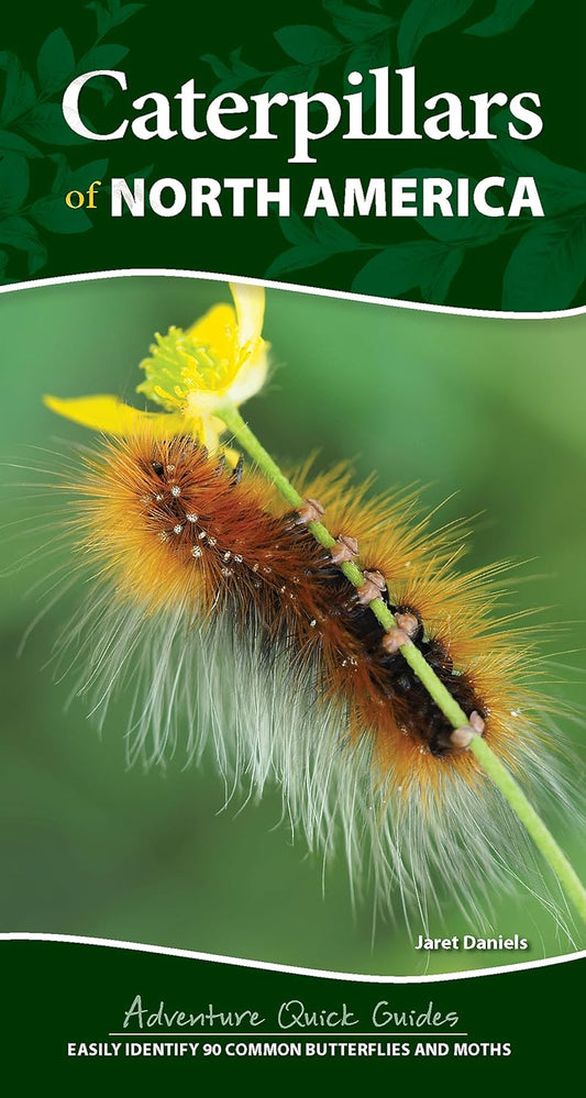 Book - Caterpillars of North America: Easily Identify 90 Common Butterflies and Moths (Adventure Quick Guides) Spiral-bound – May 7, 2024 by Jaret C. Daniels (Author)