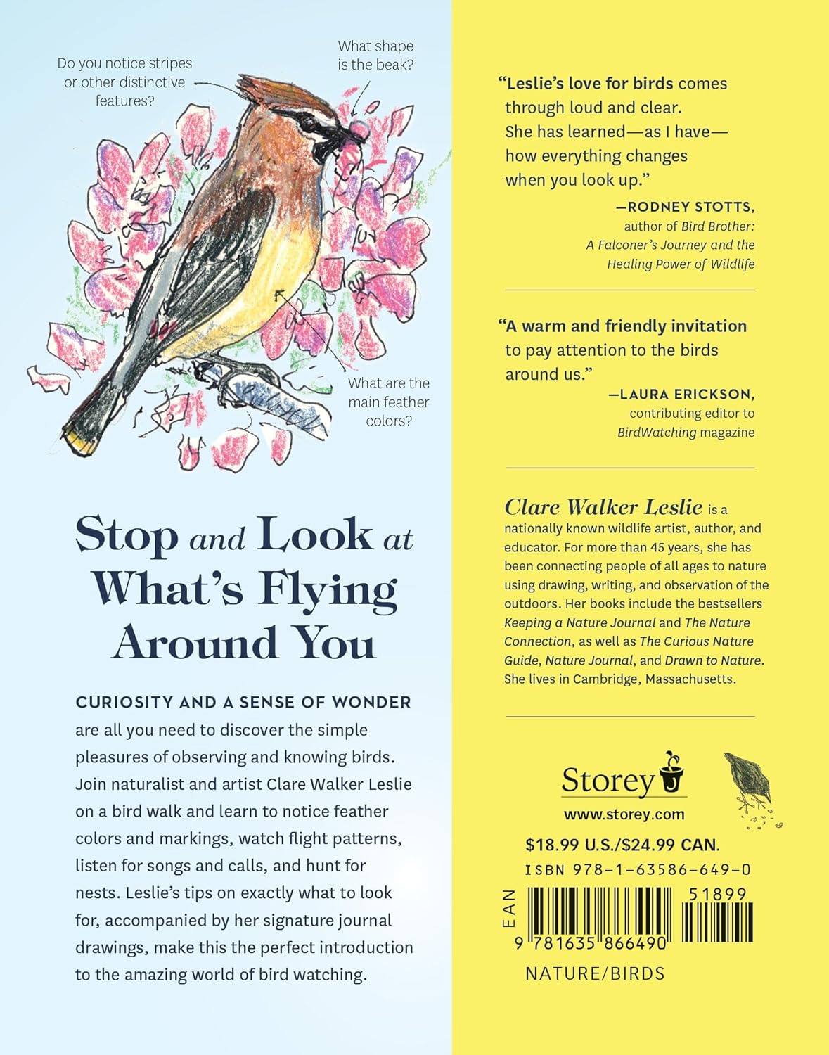 Book - How to Look at a Bird: Open Your Eyes to the Joy of Watching and Knowing Birds by Clare Walker Leslie (Paperback)