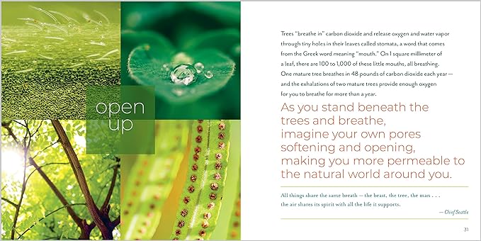 Book - Being with Trees: Awaken Your Senses to the Wonders of Nature; Poetry, Reflections & Inspiration by Hannah Fries (Paperback)