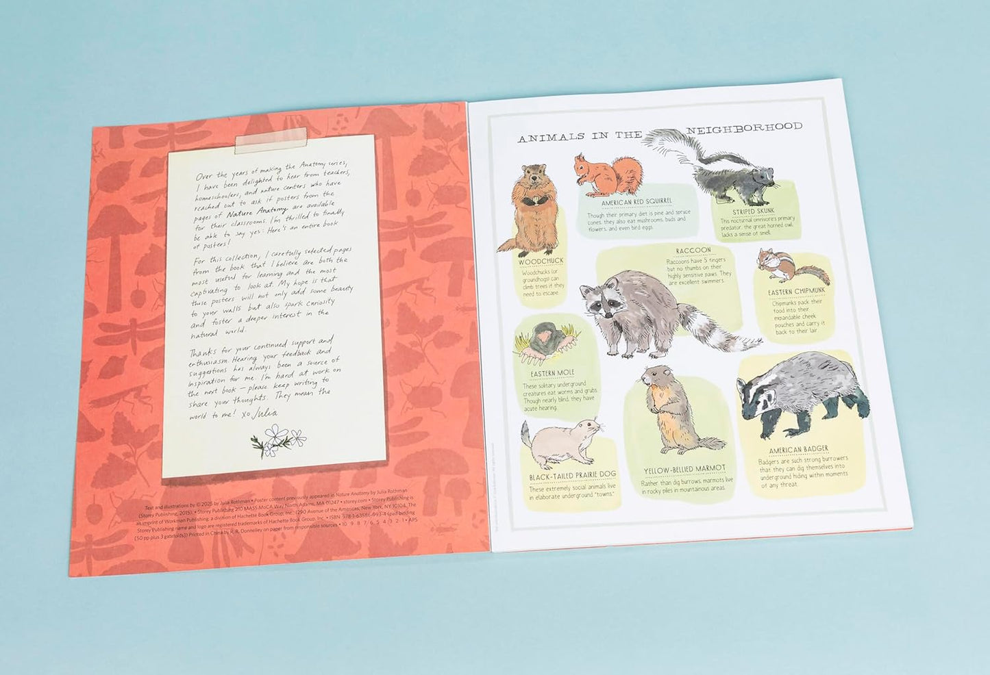 Book - Nature Anatomy Posters: 28 Pull-Out Prints That Celebrate the Wonders of the Natural World by Julia Rothman (Paperback)