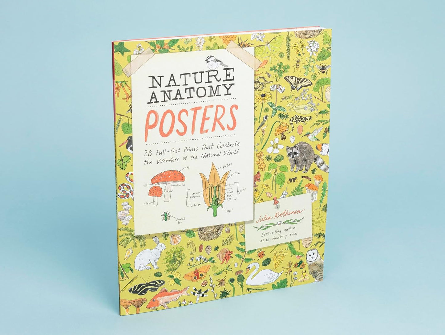 Book - Nature Anatomy Posters: 28 Pull-Out Prints That Celebrate the Wonders of the Natural World by Julia Rothman (Paperback)
