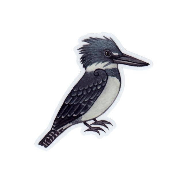 Sticker - Belted Kingfisher
