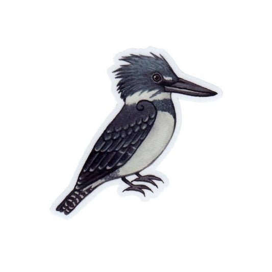 Sticker - Belted Kingfisher