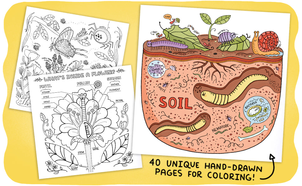 Book - What's Inside a Garden?: Science and Nature Coloring Book: 40 Drawings to Color by Rachel Ignotofsky (Paperback)