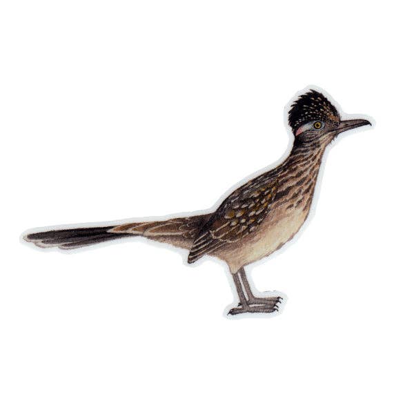 Sticker - Greater Roadrunner