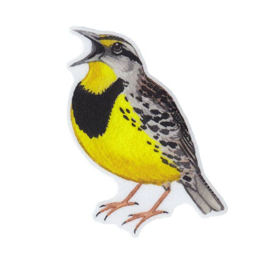 Sticker - Eastern Meadowlark