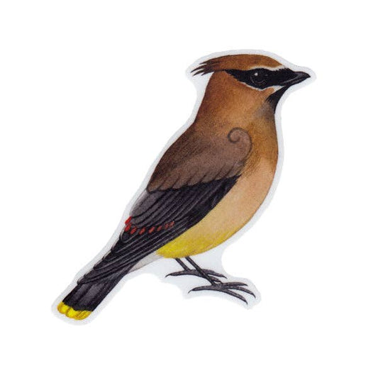 Sticker - Cedar Waxwing