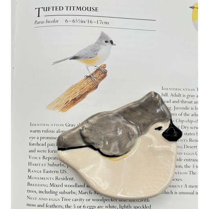 Trinket Dish - Ceramic – Tufted Titmouse