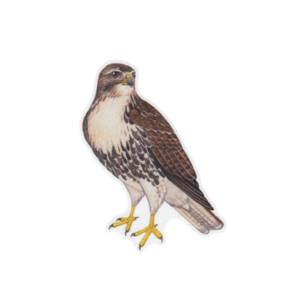 Sticker - Red-tailed Hawk