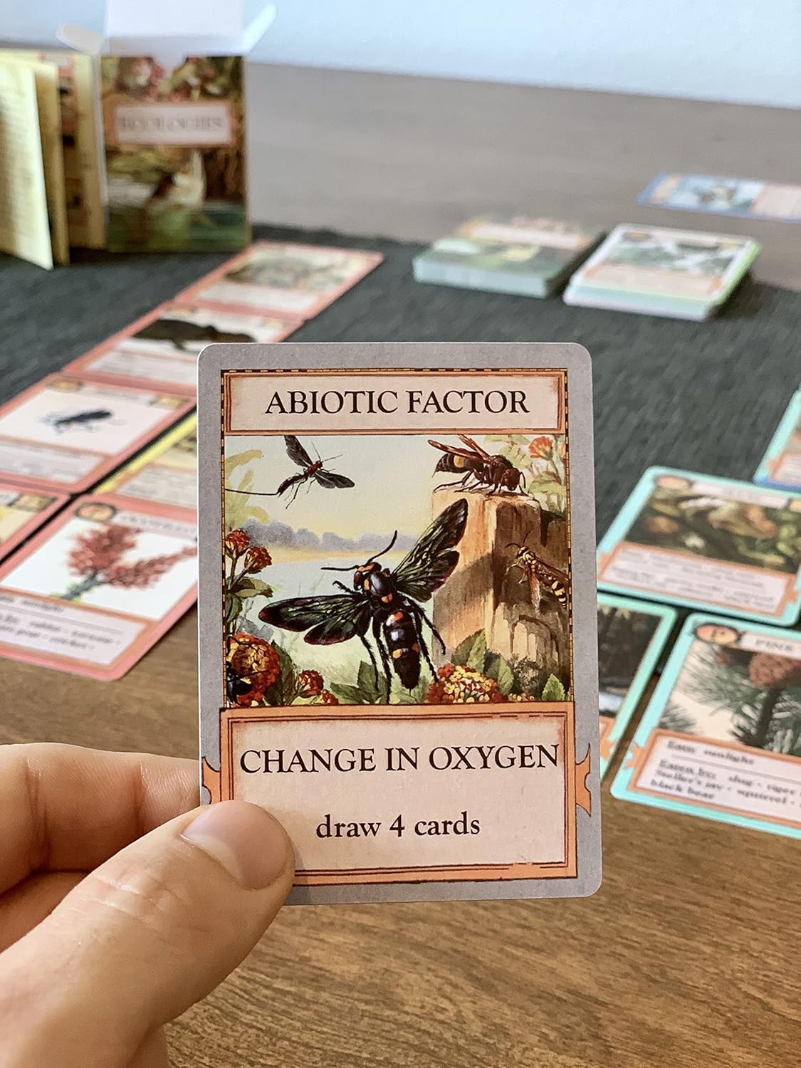 Games - Ecologies Card Game (Main Pack)