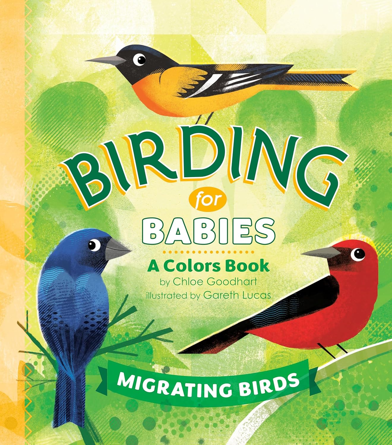 Book - Birding for Babies: Migrating Birds: A Colors Book by Chloe Goodhart (Board Book)