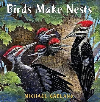 Book - Birds Make Nests by Michael Garland (Paperback)