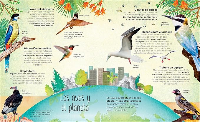 Book - La vida secreta de las aves (The Extraordinary World of Birds) (The Magic and Mystery of the Natural World) (Spanish Edition) by David Lindo (Hardback)