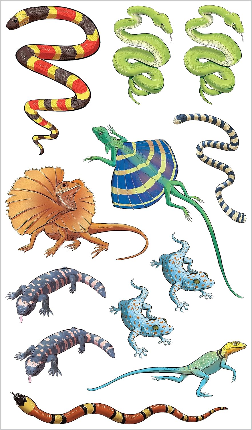 Temporary Tattoos - Slithering, Scaly Tattoo Snakes & Other Reptiles: 50 Temporary Tattoos That Teach (Paperback/Sticker Book)