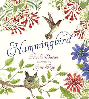 Book - Hummingbird by Nicola Davies (Hardback)