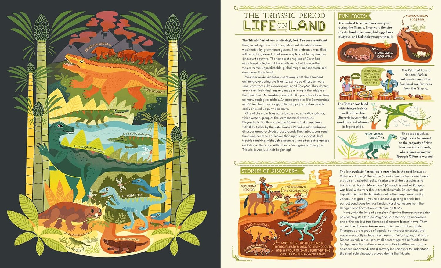 Book - Dinosaurs: Exploring Prehistoric Life and Geological Time by Rachel Ignotofsky (Hardback)