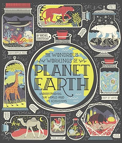 Book - Wondrous Workings of Planet Earth: Understanding Our World and Its Ecosystems by Rachel Ignotofsky (Hardback)