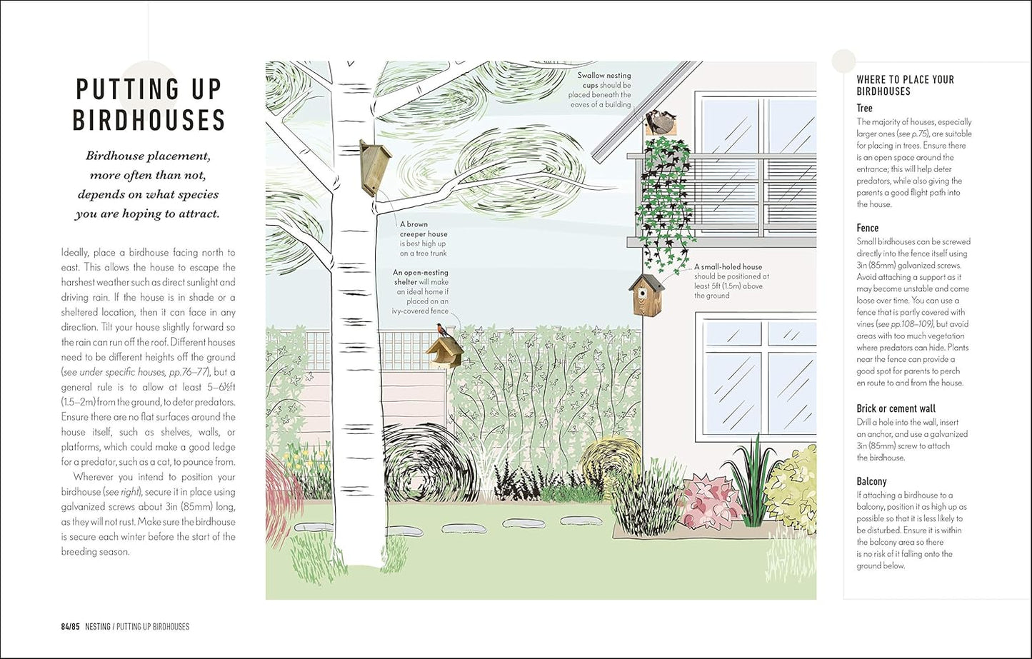 Book - How to Attract Birds to Your Garden: Foods they like, plants they love, shelter they need by Dan Rouse (Hardback)