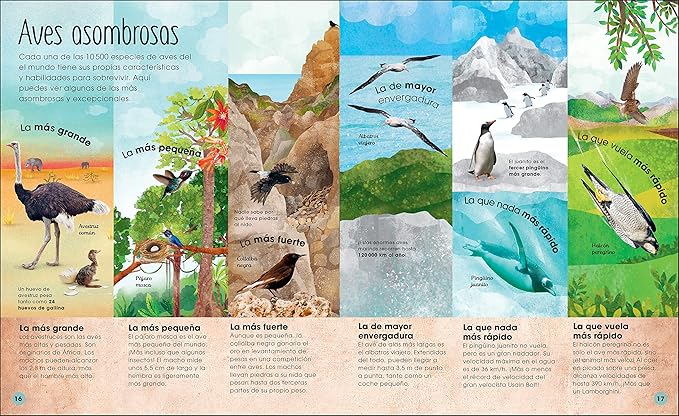 Book - La vida secreta de las aves (The Extraordinary World of Birds) (The Magic and Mystery of the Natural World) (Spanish Edition) by David Lindo (Hardback)