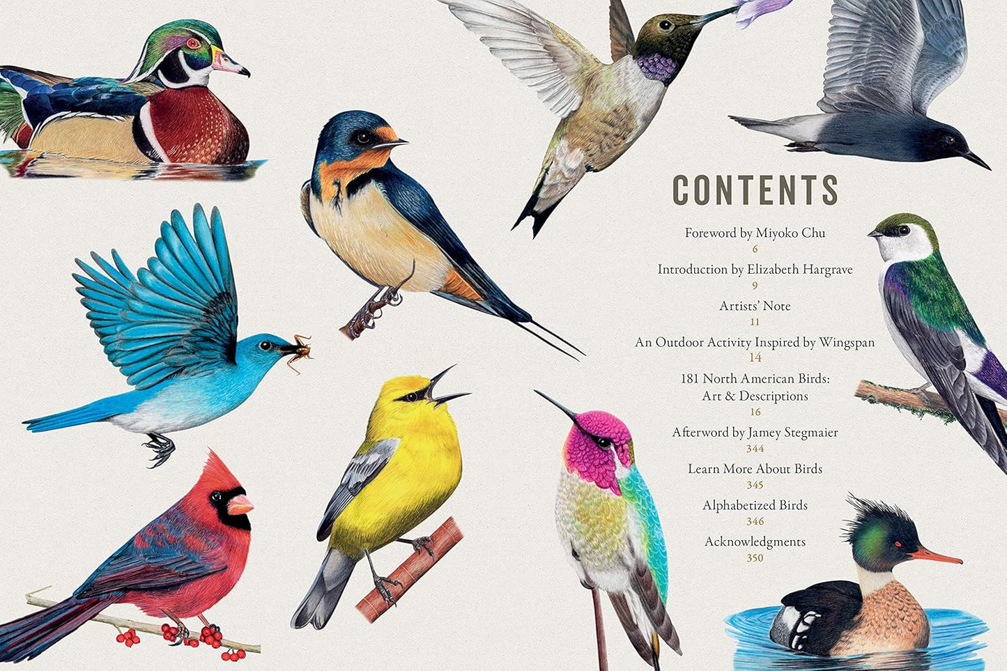 Books - Celebrating Birds: An Interactive Field Guide Featuring Art from Wingspan (Hardback)