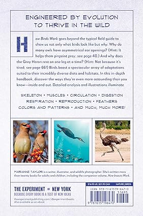 Book - How Birds Work: An Illustrated Guide to the Wonders of Form and Function--From Bones to Beak by Marianne Taylor (Flexibound)