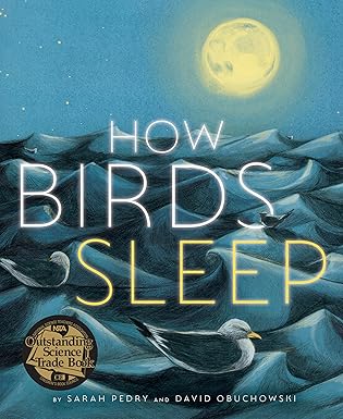 Book - How Birds Sleep by Sarah Pedry and David Obuchowski (Hardback)