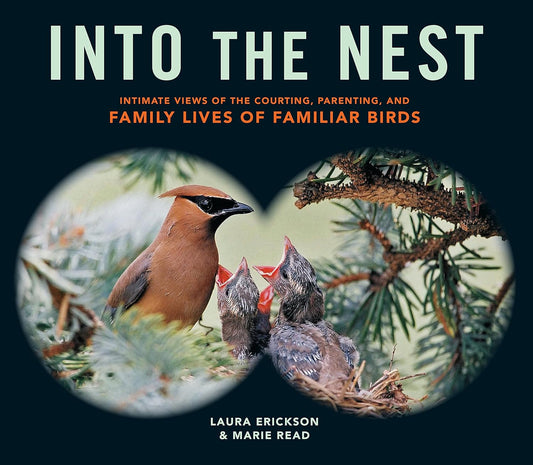 Book - Into the Nest: Intimate Views of the Courting, Parenting, and Family Lives of Familiar Birds by Laura Erickson & Marie Read (Paperback)