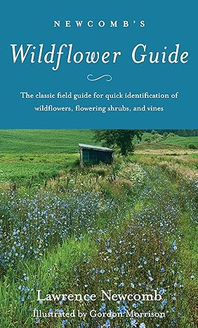 Book - Newcomb's Wildflower Guide by Lawrence Newcomb (Paperback)