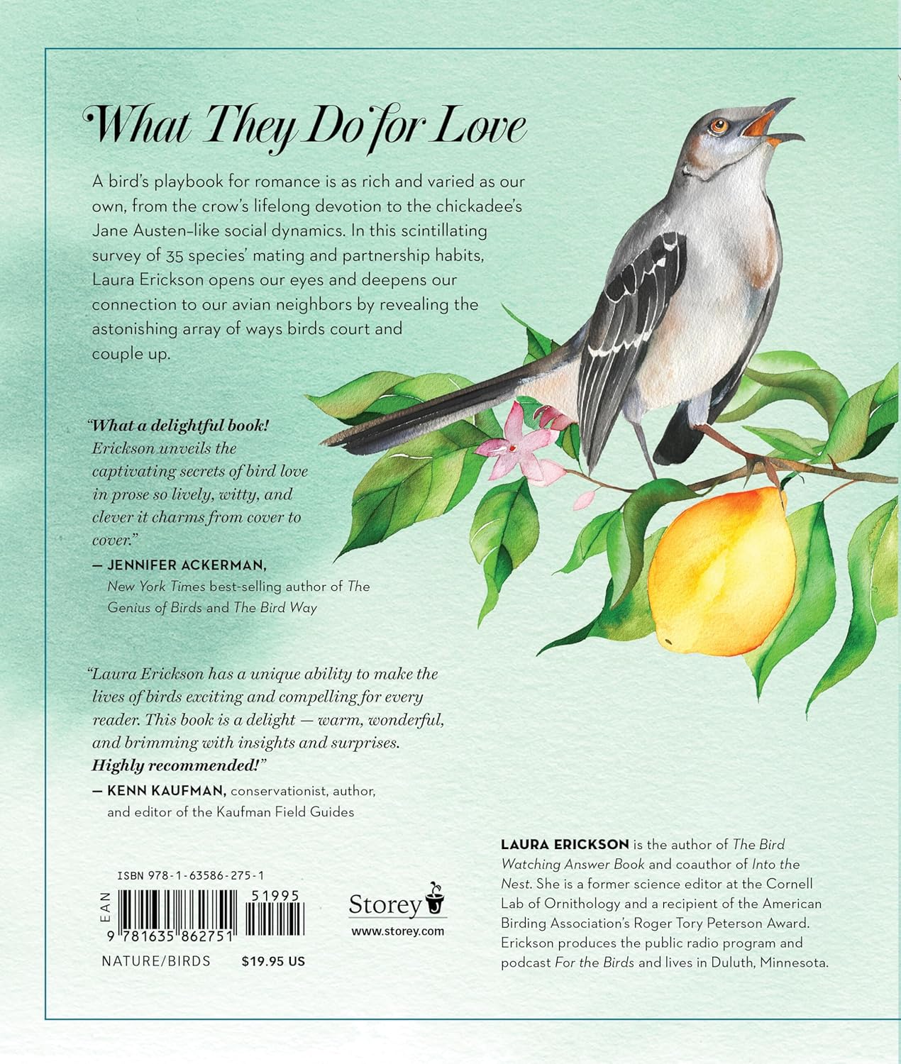 Book - The Love Lives of Birds: Courting and Mating Rituals by Laura Erickson (Hardback)