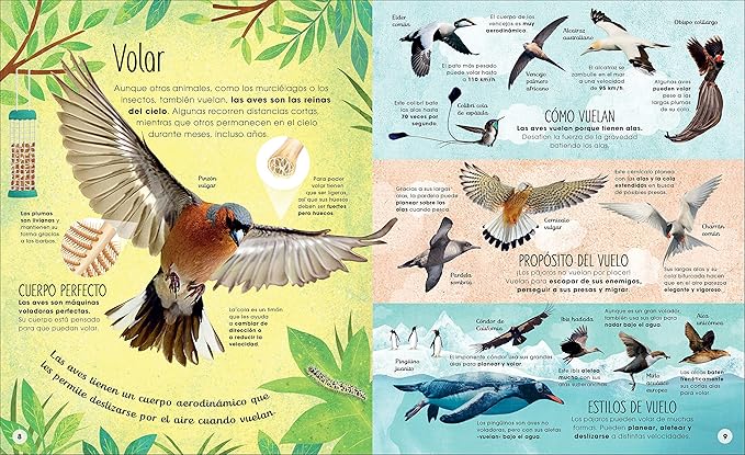 Book - La vida secreta de las aves (The Extraordinary World of Birds) (The Magic and Mystery of the Natural World) (Spanish Edition) by David Lindo (Hardback)