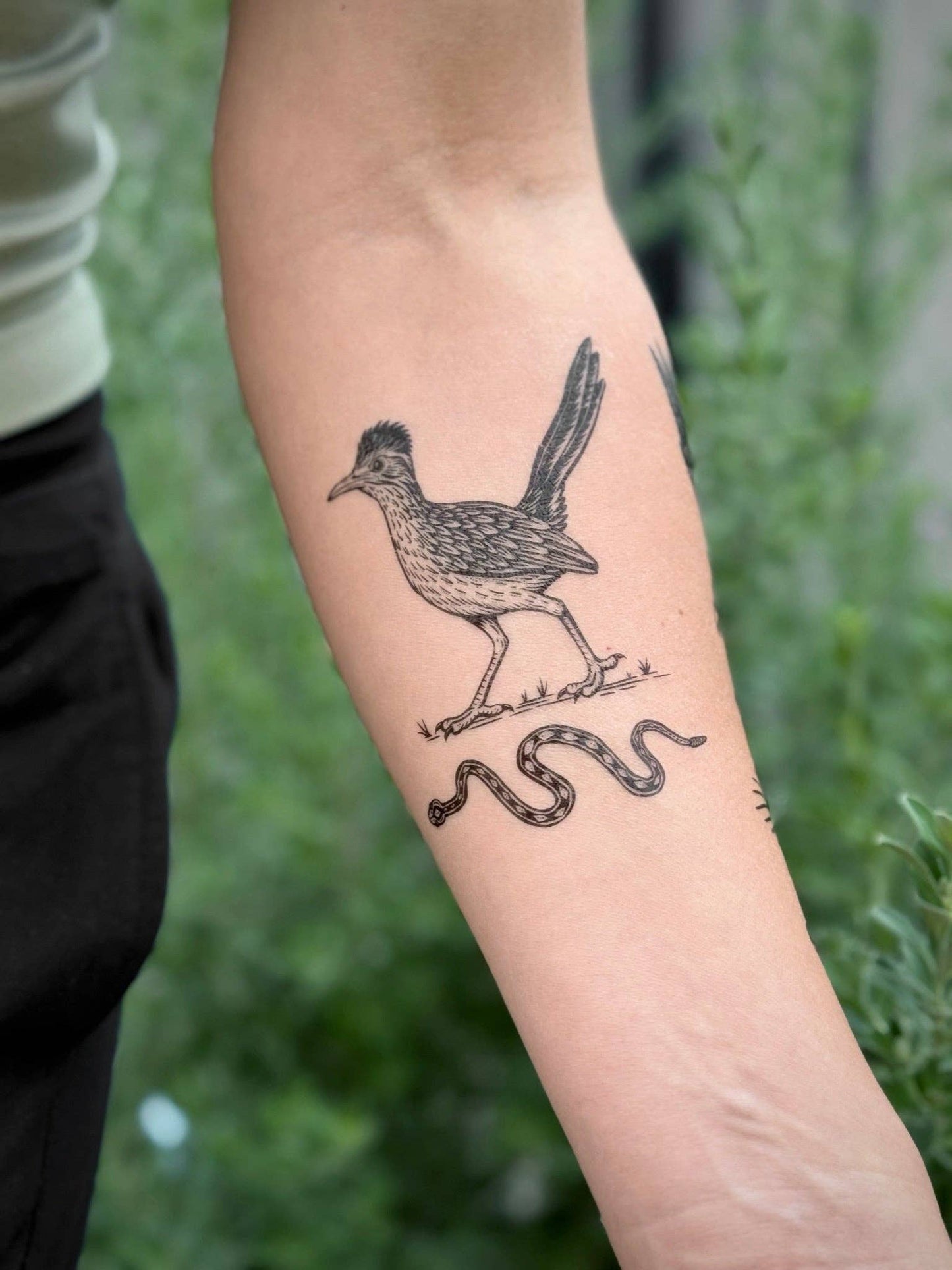 Temporary Tattoo - Roadrunner (1 Pack)