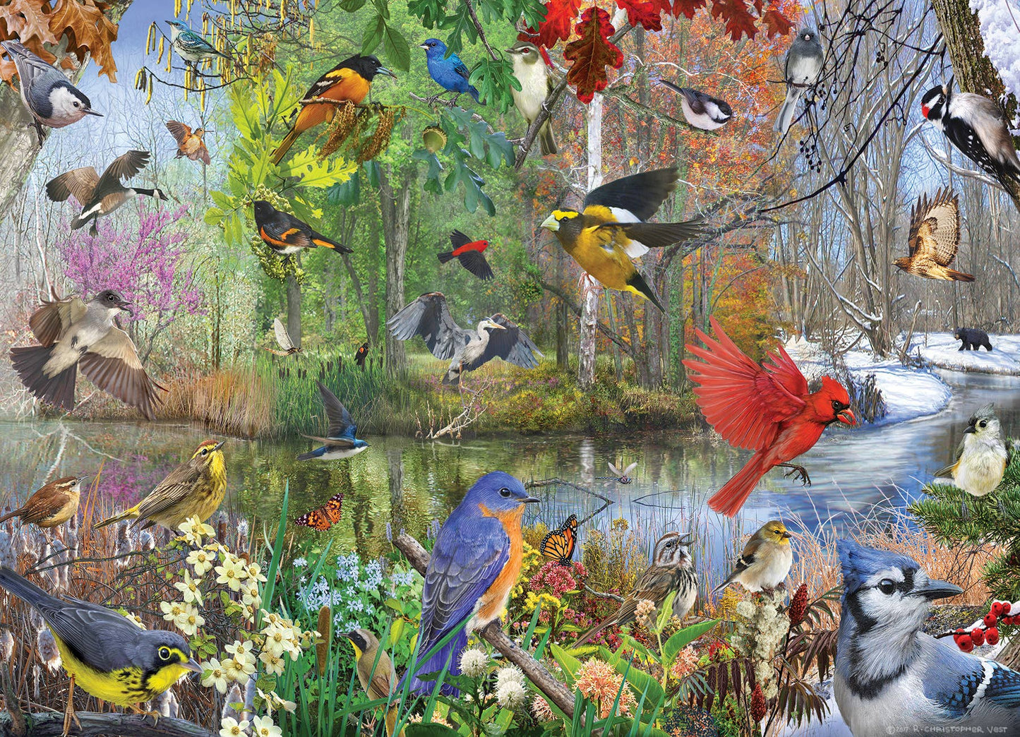 Puzzle - Birds of the Season (1000-Piece)